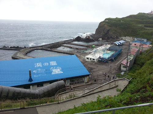 小樽の水族館